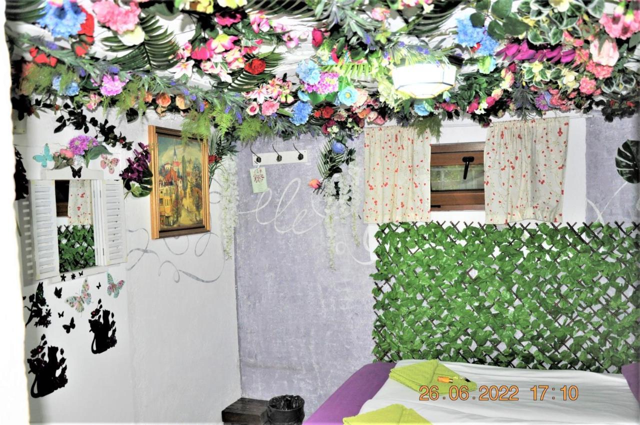 Social Guest House 소피아 외부 사진